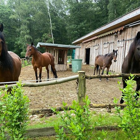 Ferienhaus Mausberg Bad Neuenahr-Ahrweiler Eksteriør billede