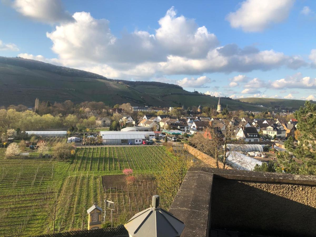 Ferienhaus Mausberg Bad Neuenahr-Ahrweiler Eksteriør billede